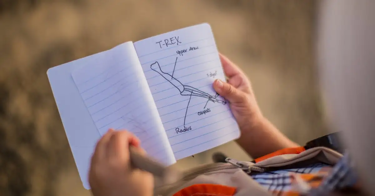 Leer hoe je makkelijk een dinosaurus kunt tekenen